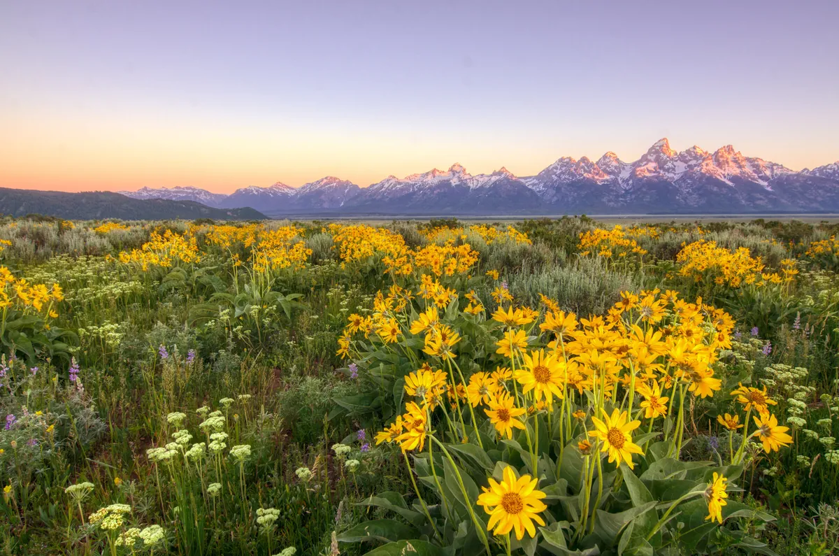 Antelope Flats: fine art mountains photograph by J Grigg