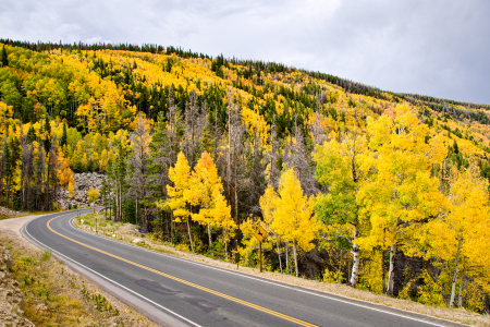 Bear Lake Road