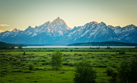 Willow Flats