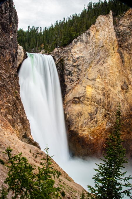 Yellowstone Falls