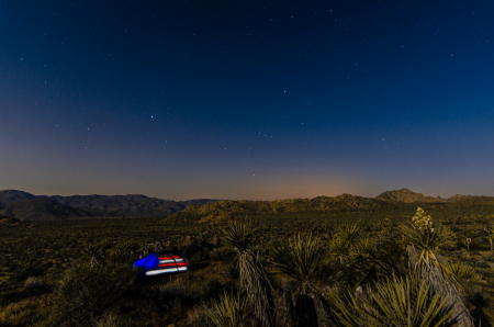 Joshua Tree USA