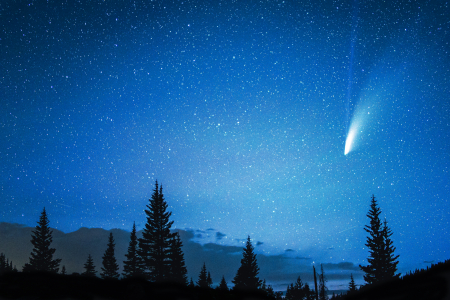 Neowise Comet