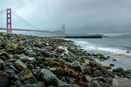 Golden Gate Fog