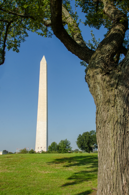 Washington Monument